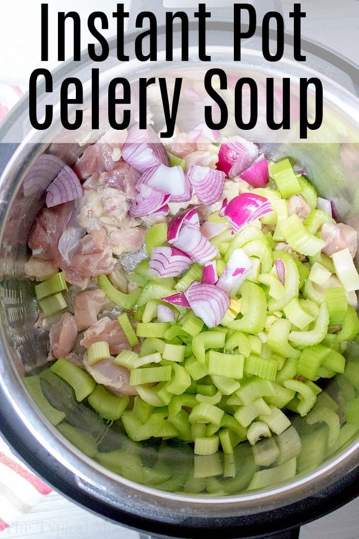 Instant Pot Cream of Celery Soup Ninja Foodi Celery Soup