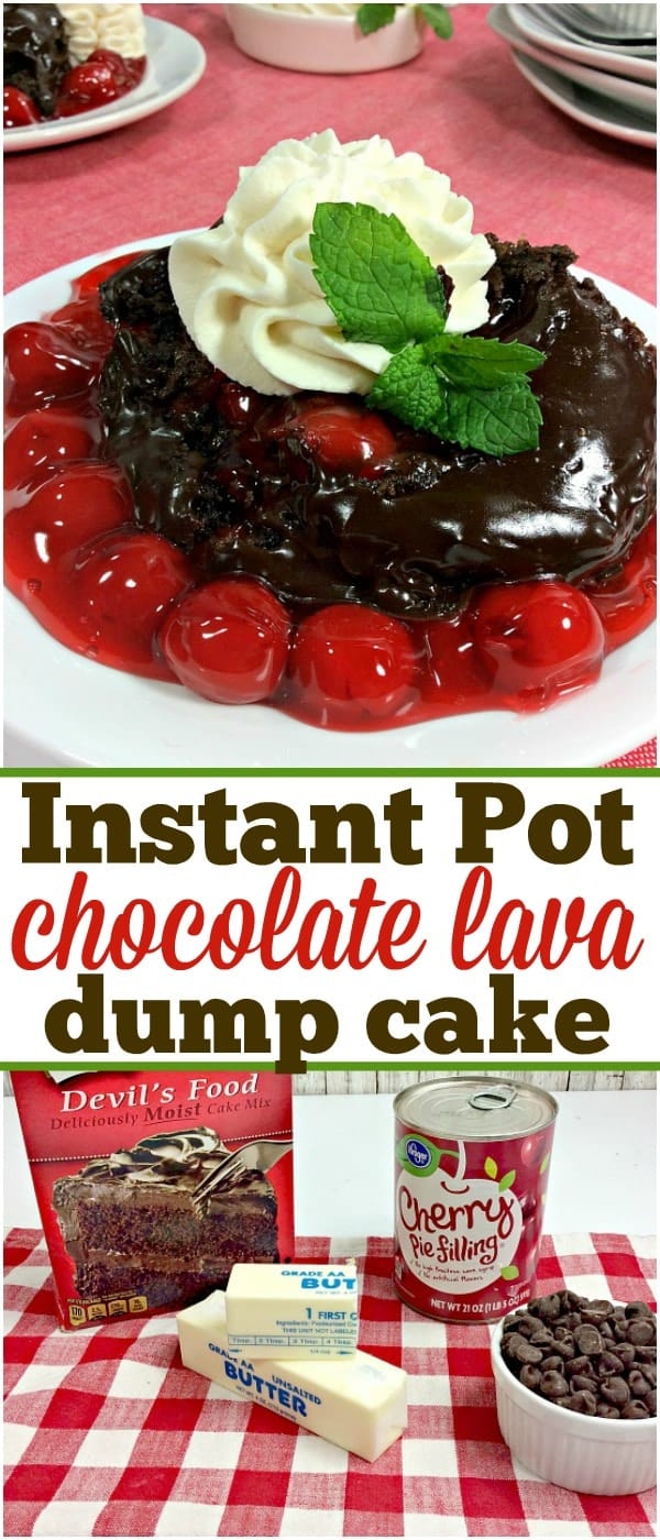 Pressure Cooker Chocolate Lava Cake · The Typical Mom