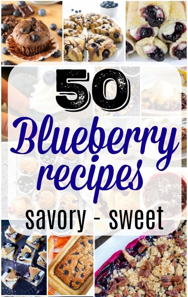 best blueberry recipes 2