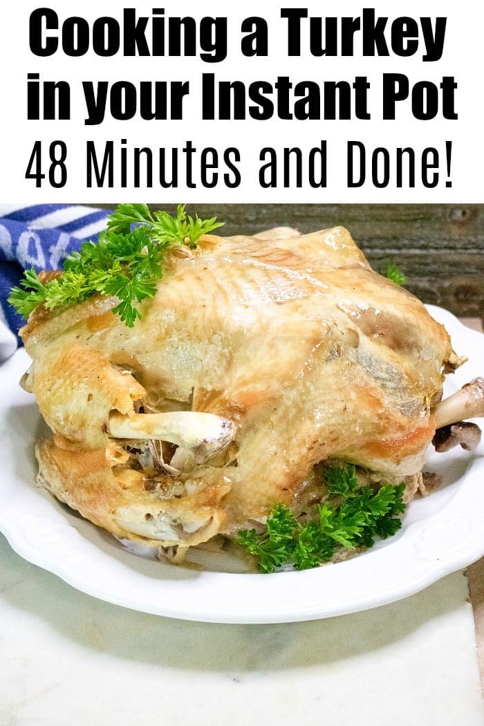 6 qt instant pot whole turkey hot sale