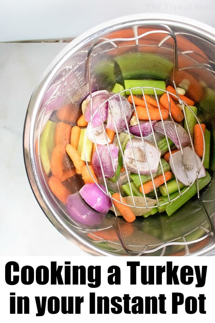 instant pot turkey