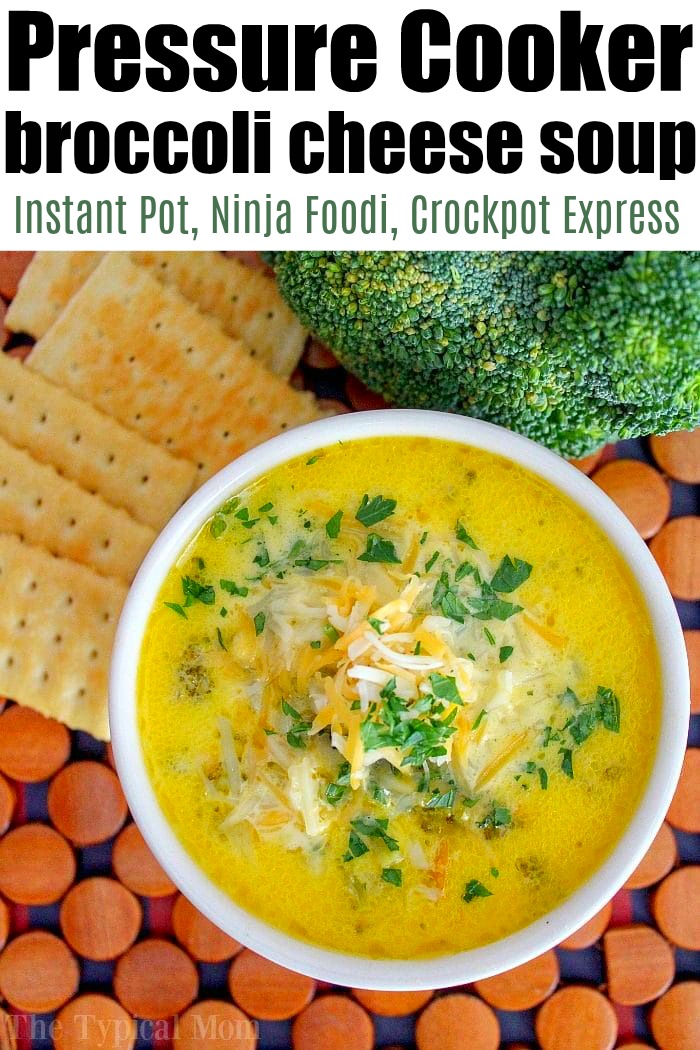 chicken soup in ninja foodi