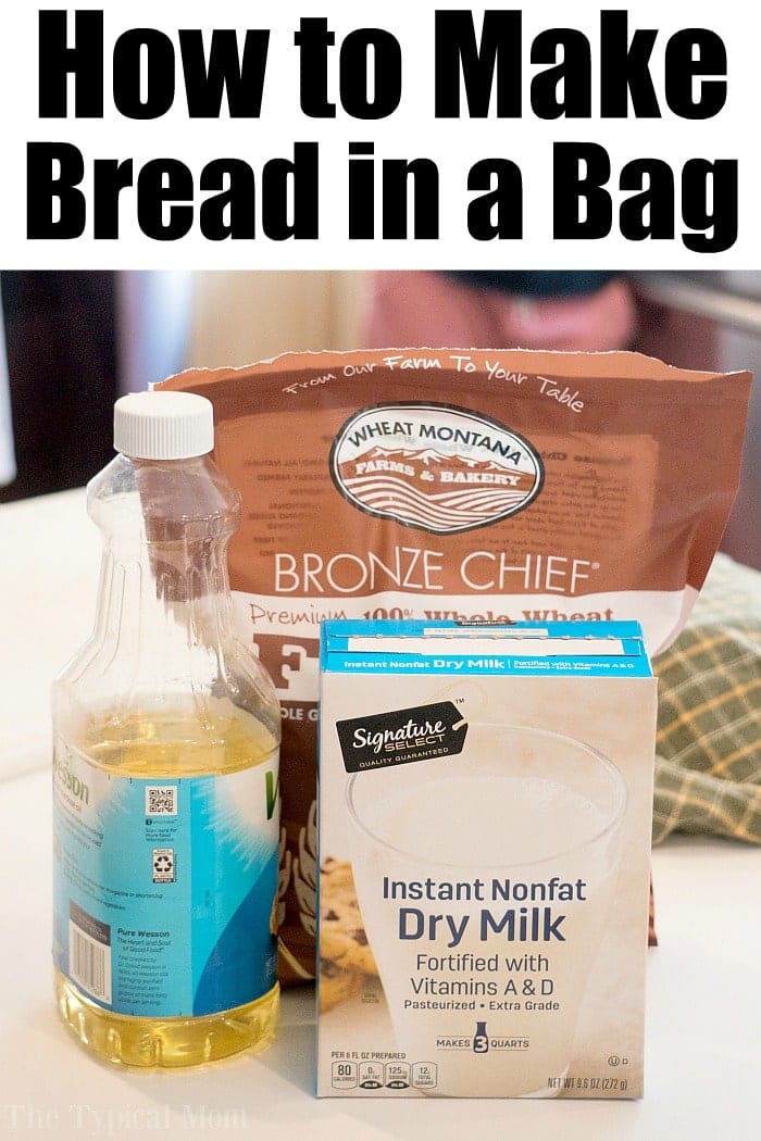 Ziploc Bread in a Bag Science Experiment · The Typical Mom