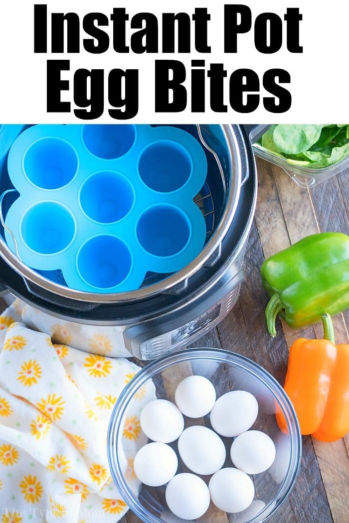 Egg Bites in a Pressure Cooker