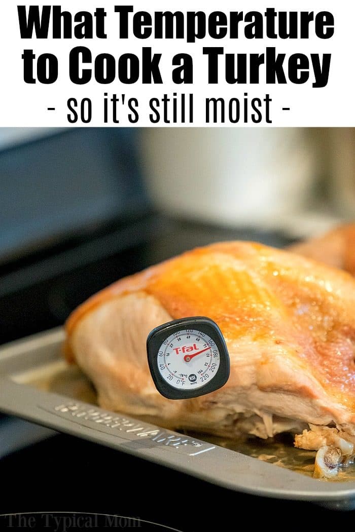 how long to cook deconstructed turkey - DeKookGuide