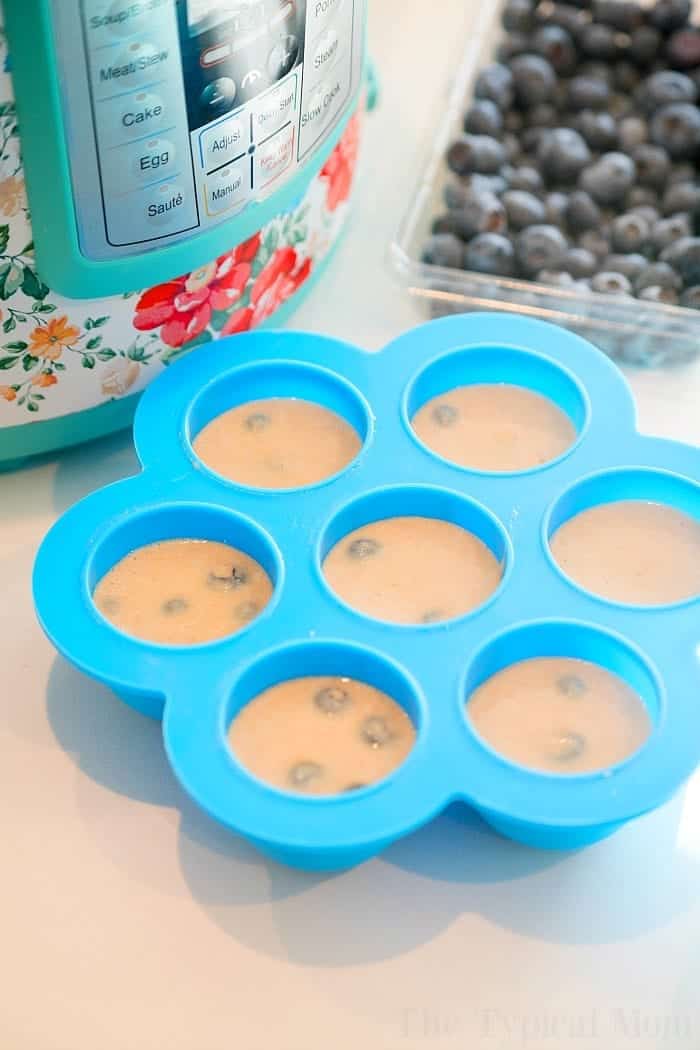 Blueberry Instant Pot Pancake Bites Ninja Foodi Pressure Cooker