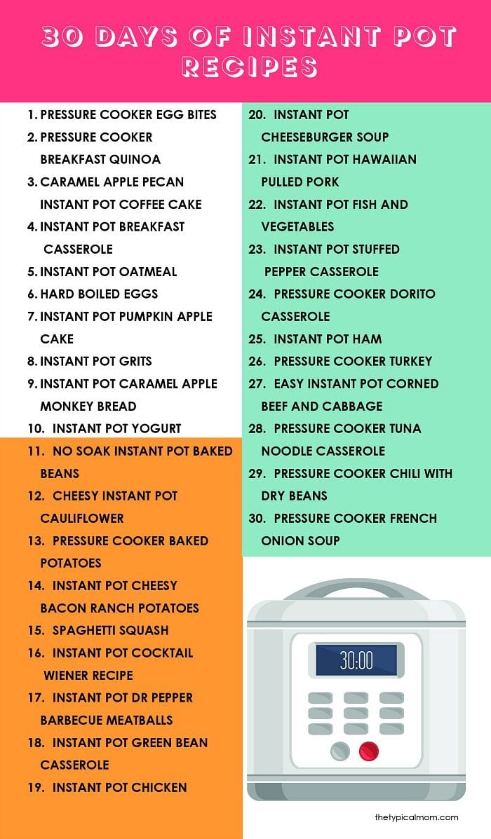 101 Instant Pot Recipes for Beginners InstaPot Recipes