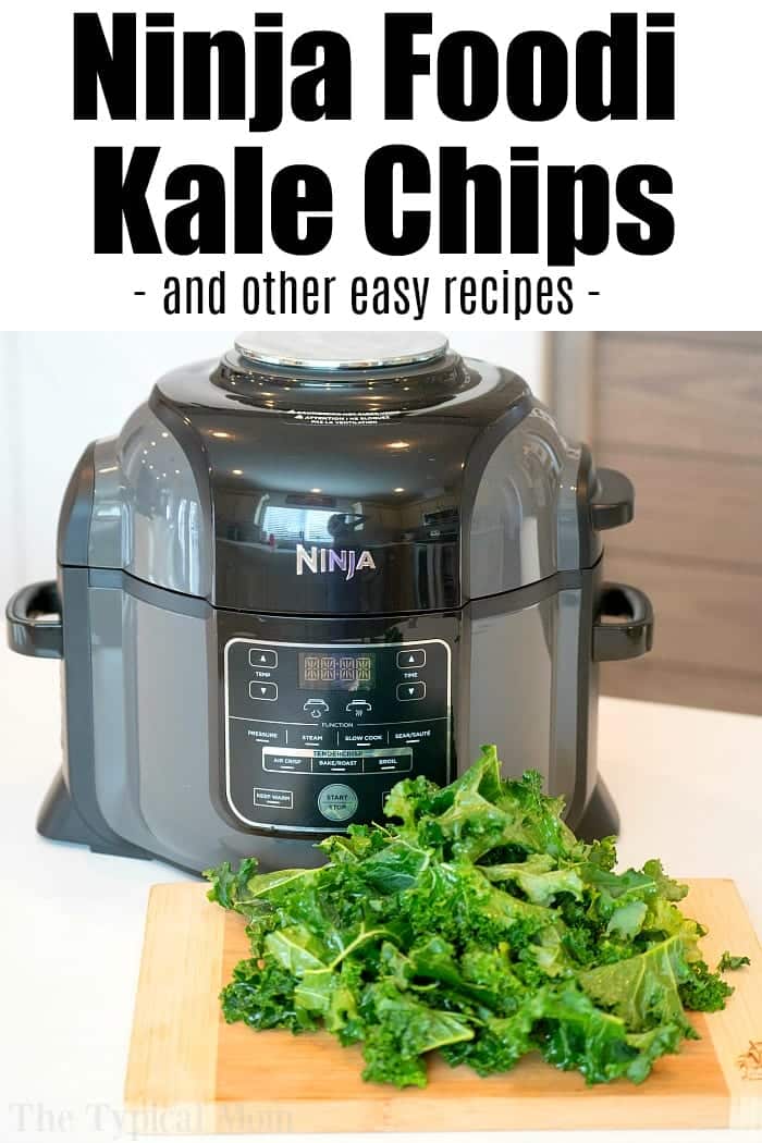 Ninja Foodi Kale Chips Air Fryer Kale Chips Recipe