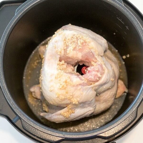 crock pot express beer can chicken 2