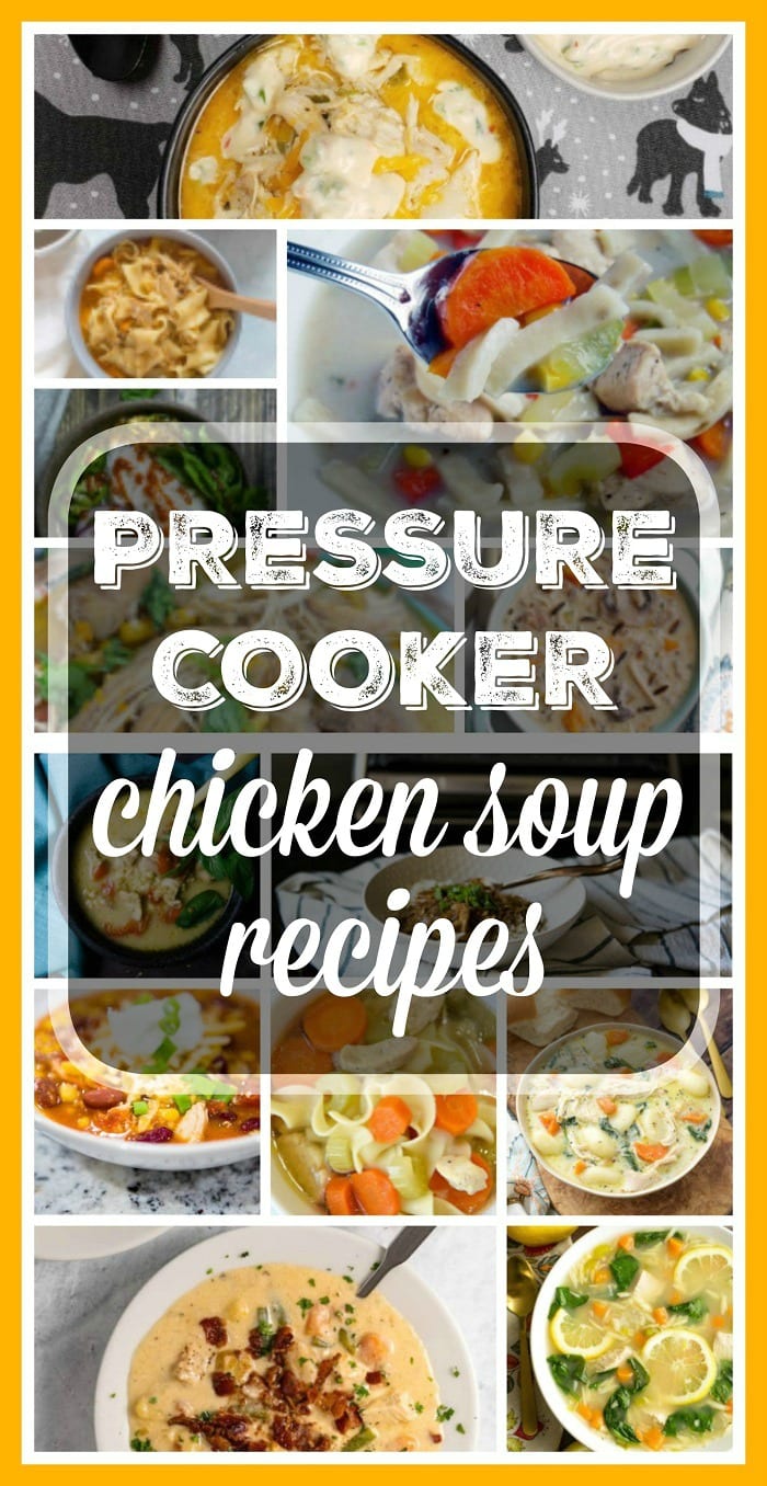 Pressure Cooker Chicken Soup Recipes · The Typical Mom