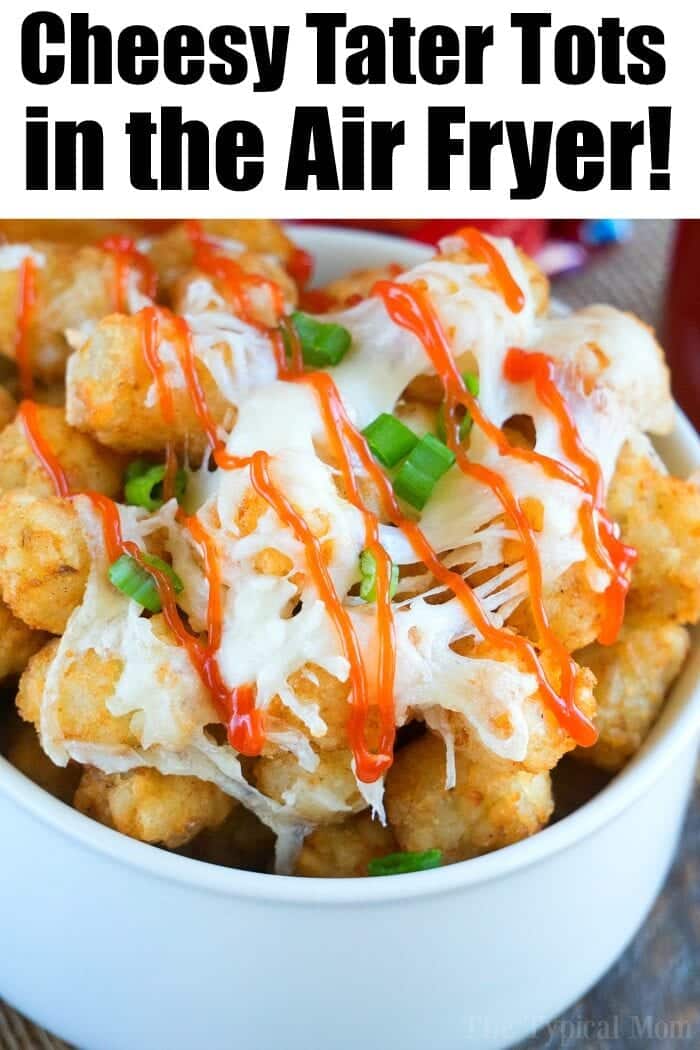 The Easiest Air Fryer Tater Tots {Super Crispy} - The Girl on Bloor