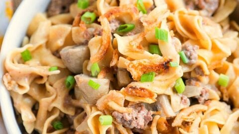 Pressure cooker ground beef stroganoff hot sale