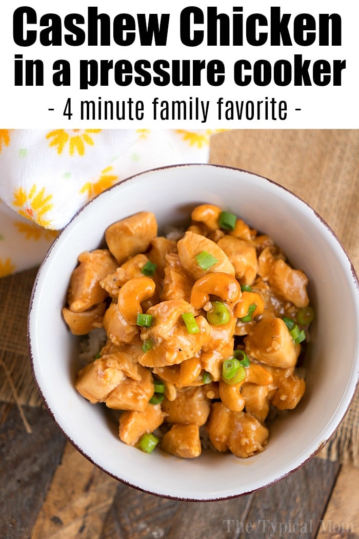 Ninja Foodi Pressure Cooker Recipes · The Typical Mom