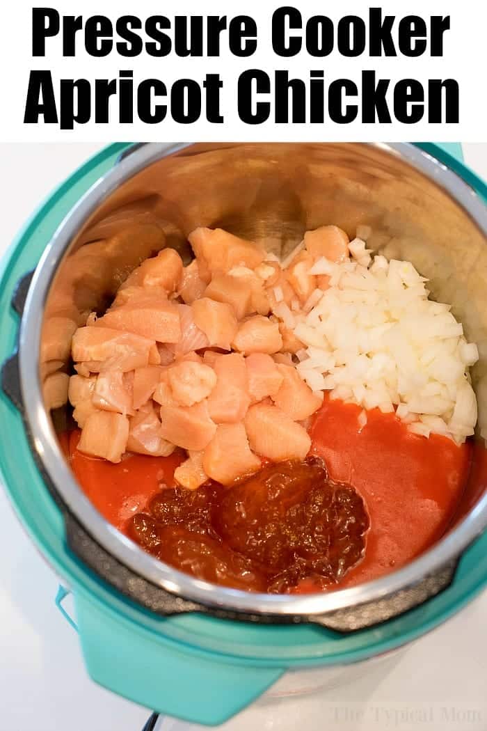 Pressure Cooker Apricot Chicken Instant Pot Apricot Chicken