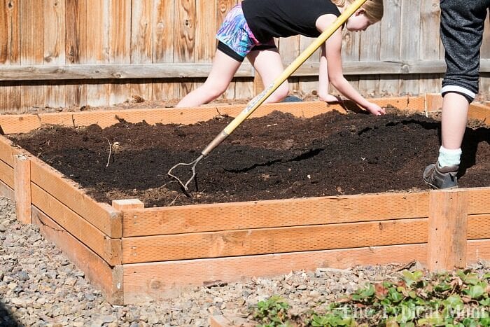 building a vegetable garden