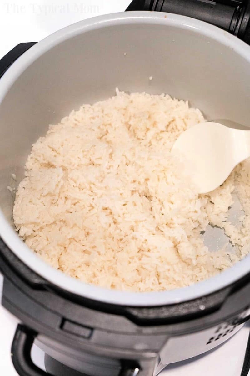 Ninja Foodi Rice - White Rice, Brown Rice and Wild Rice