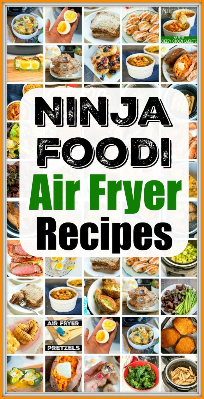 47 Ninja Air Fryer Recipes for Breakfast Lunch Dinner Dessert