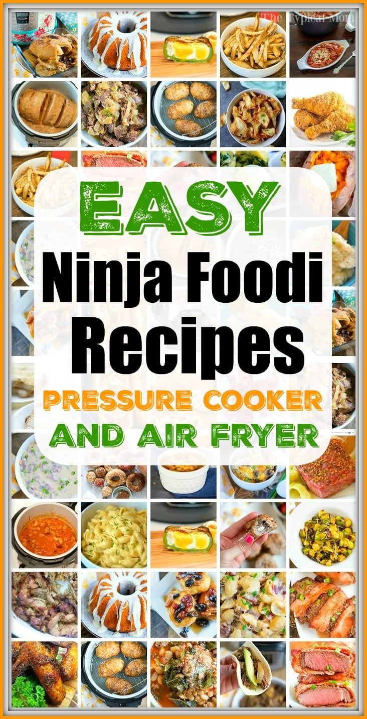 72+ Easy Ninja Foodi Recipes + Instructions on How to Use the Foodi