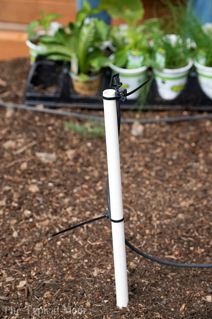 garden drip system