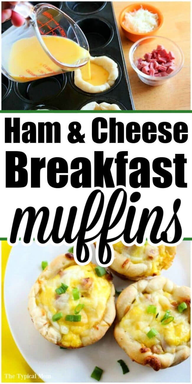 ham and cheese egg muffins