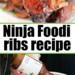 ninja foodi recipes