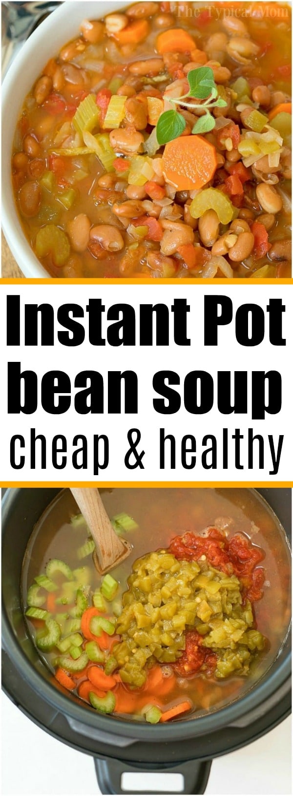 Mexican Pinto Beans Ninja Foodi at Michael Walker blog