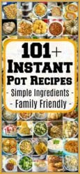 101+ Instant Pot Recipes for Beginners - InstaPot Recipes