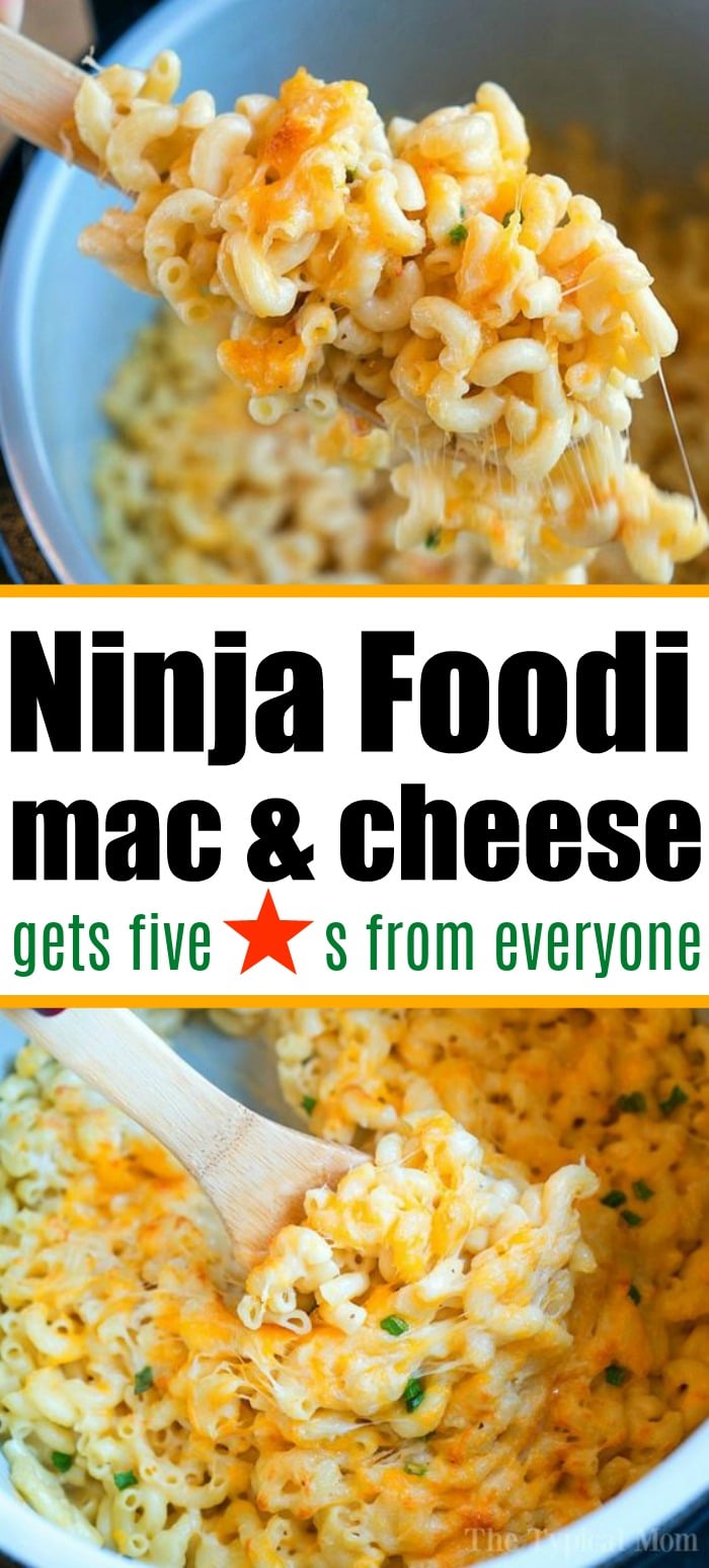 Easy Ninja Foodi Macaroni and Cheese · The Typical Mom