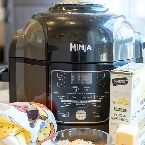 ninja foodi recipes