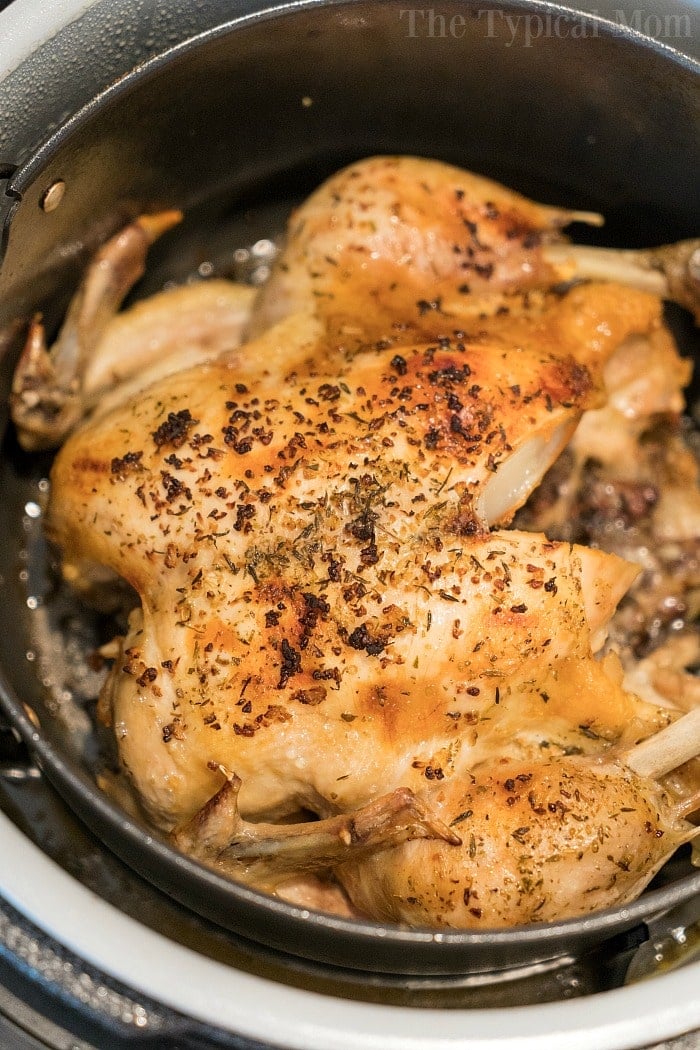 Easy Ninja Foodi Chicken Recipe The Typical Mom