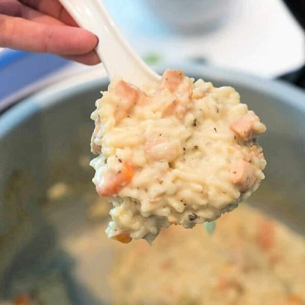 Pressure-Cooker-Creamy-Chicken-and-Rice