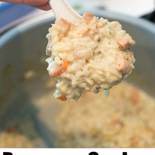 Pressure Cooker Creamy Chicken and Rice Casserole · The Typical Mom