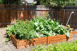 How to Make a Vegetable Garden - DIY Plantar Boxes for Beginner