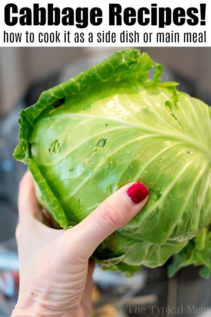 easy cabbage recipes