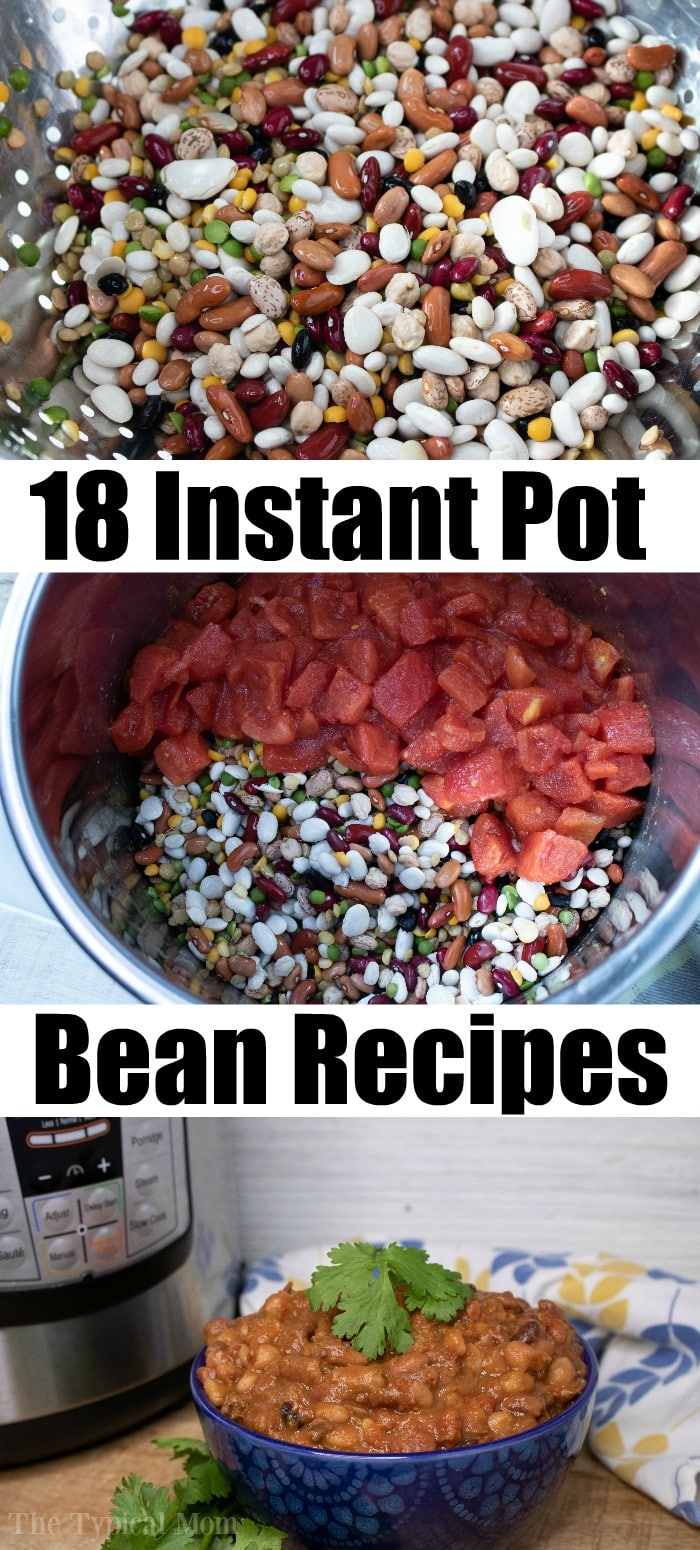 instant pot bean recipes