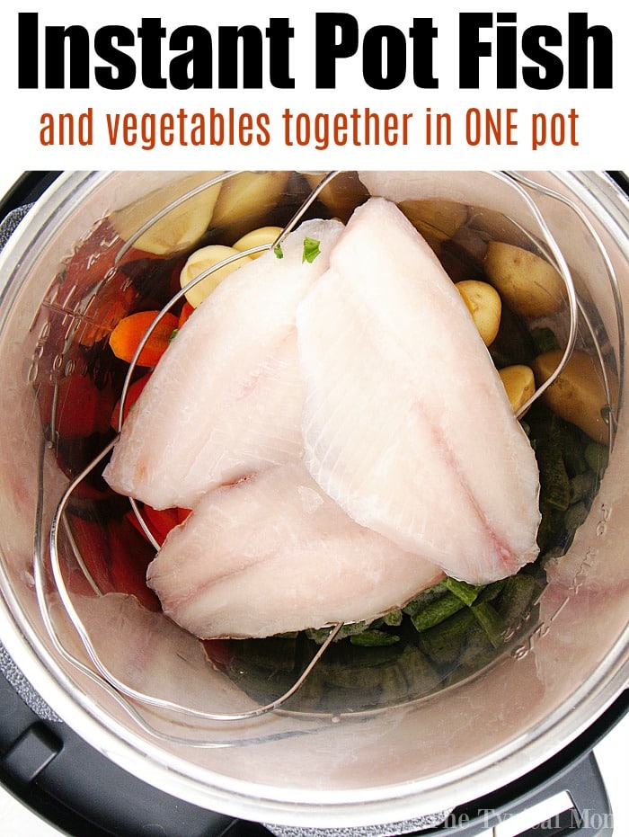 instant pot tilapia recipe