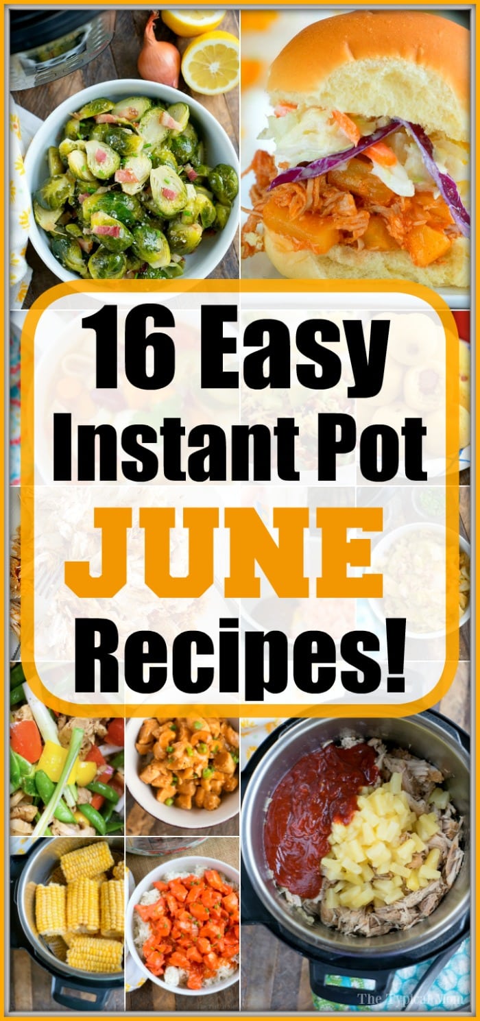 easy instant pot summer recipes