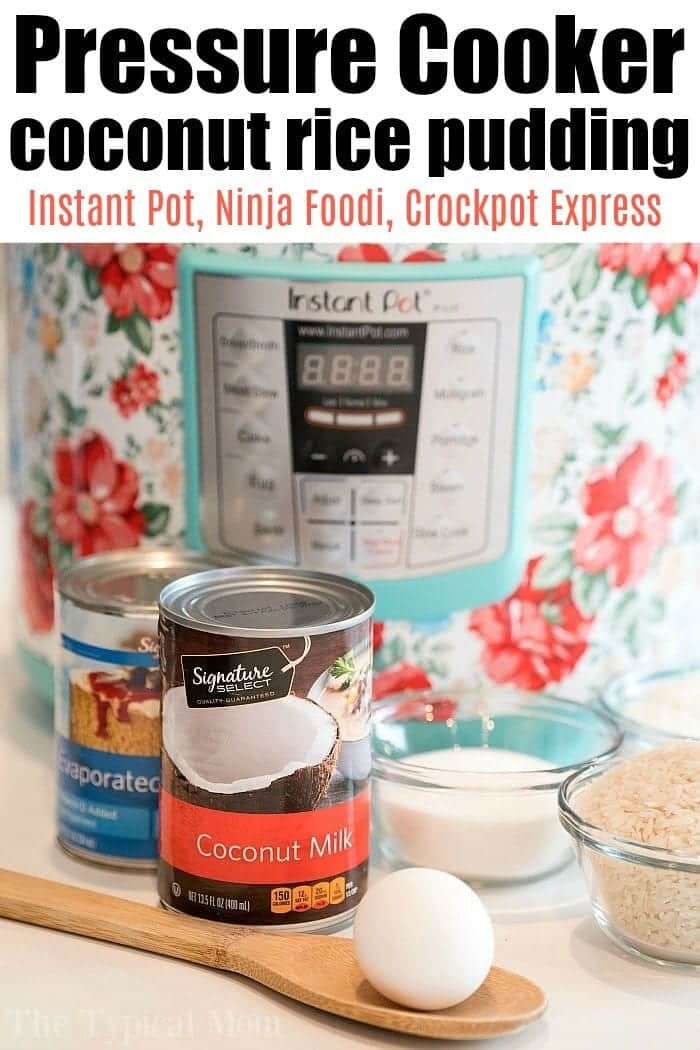 Using coconut milk in pressure cooker sale