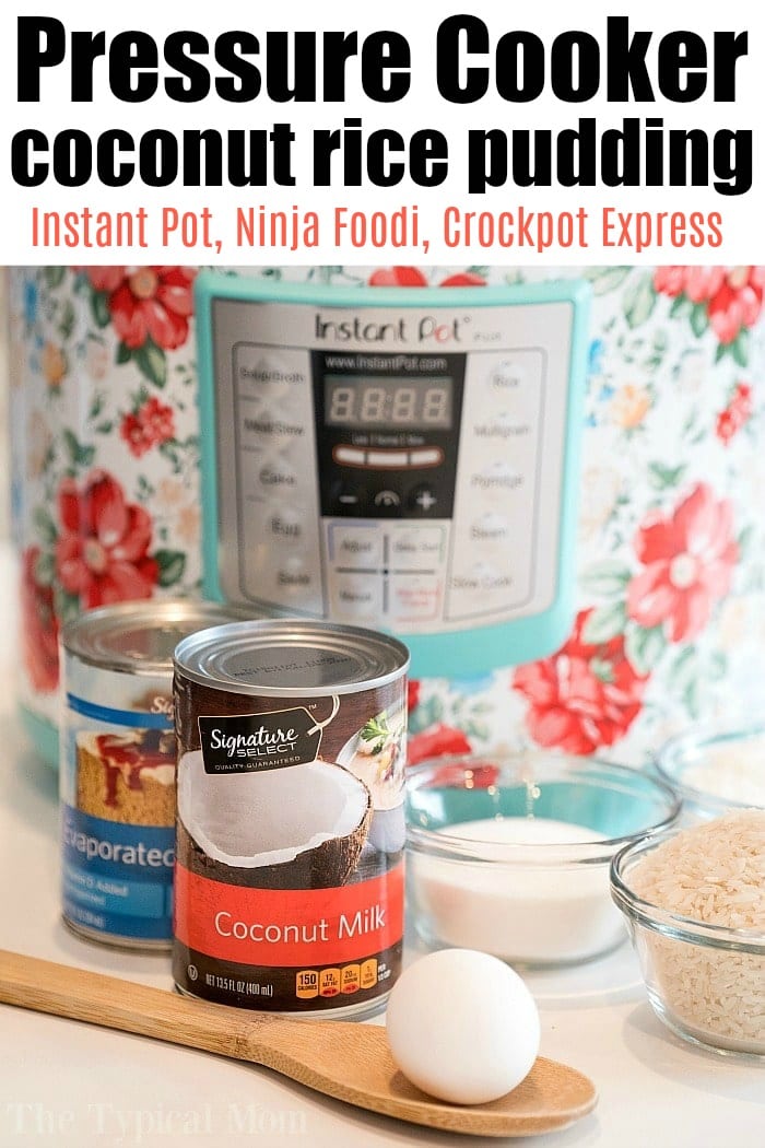 Instant Pot Pressure Cooker Cococnut Rice Pudding Ninja Foodi