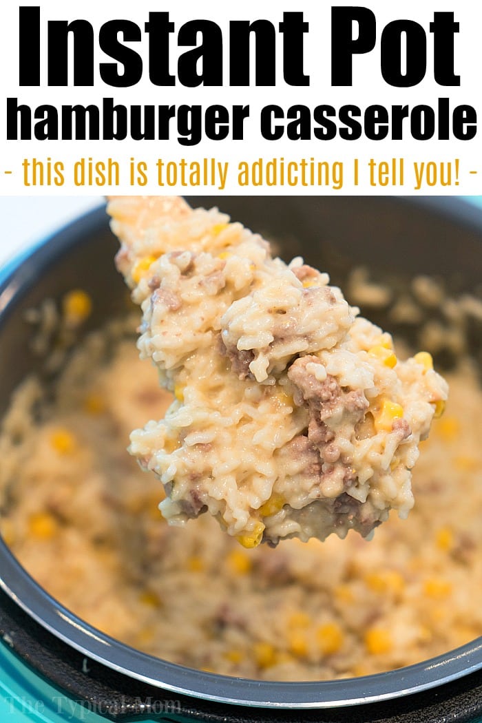 Instant pot best sale recipes using hamburger