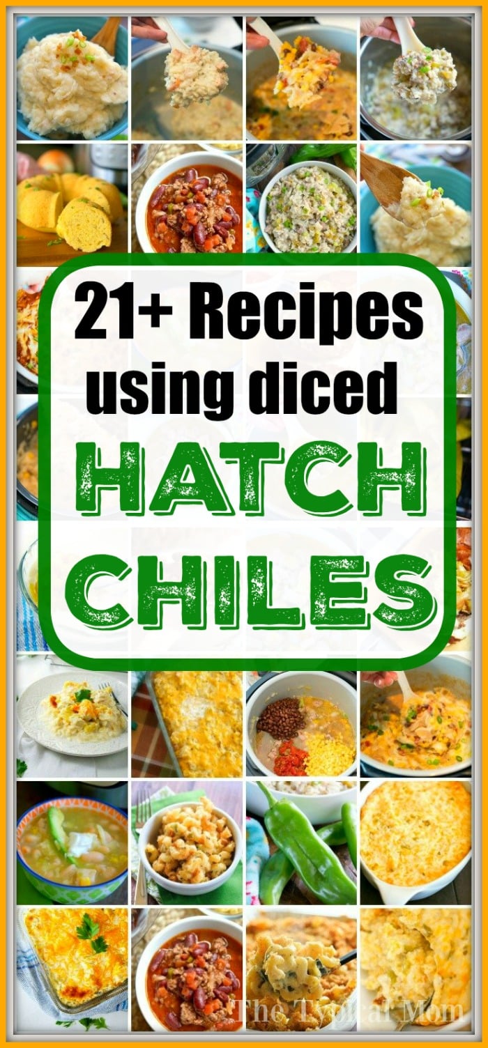 46 Best Hatch Chile Recipes What to Make with Hatch Chiles