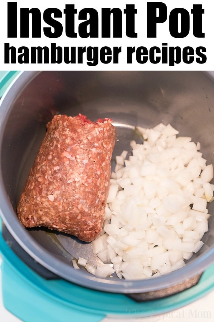 instant pot hamburger recipe