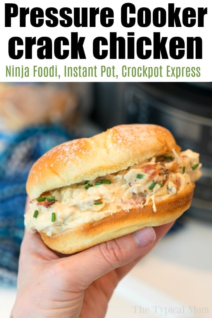 Ninja Foodi Pressure Cooker Recipes · The Typical Mom