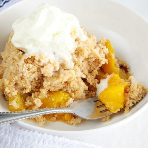 Instant Pot Peach Cobbler Recipe · The Typical Mom