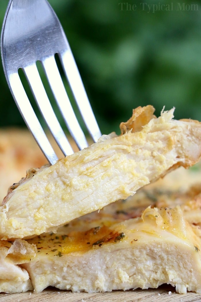 https://temeculablogs.com/wp-content/uploads/2019/09/Frozen-Chicken-Breast-in-Air-Fryer.jpg