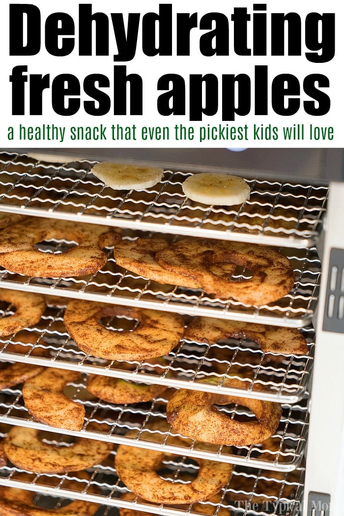 https://temeculablogs.com/wp-content/uploads/2019/09/How-to-Dehydrate-Apples.jpg