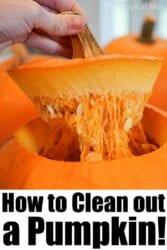 How to Clean Pumpkin Seeds & Roast Pumpkin Seeds