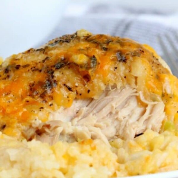 slow cooker chicken and rice