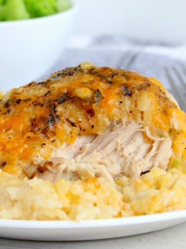 Slow Cooker Chicken And Rice The Typical Mom