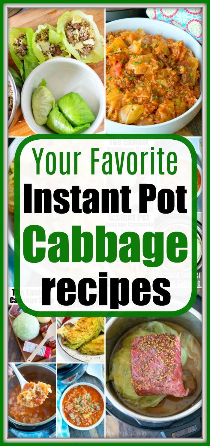 20 Cheap Instant Pot Recipes - Simple Living Mama